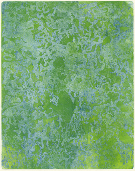 Forest Luminosity
