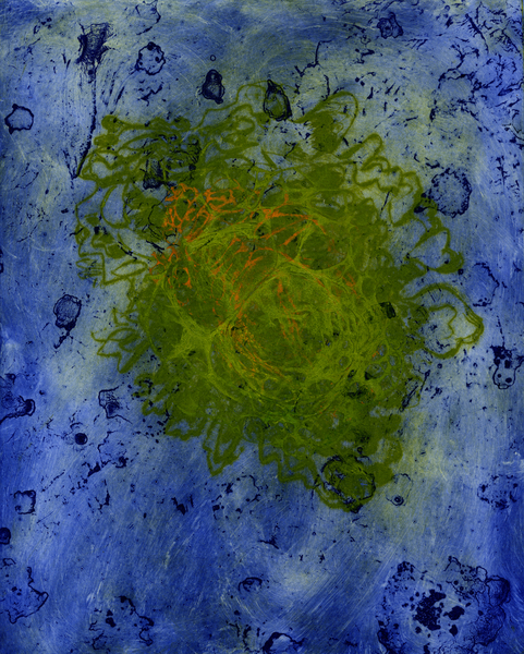 Lichen Cosmos 1/1