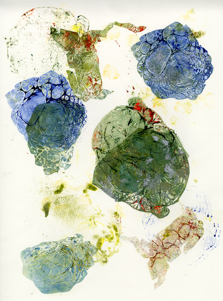 Lichen Rocks 1/1