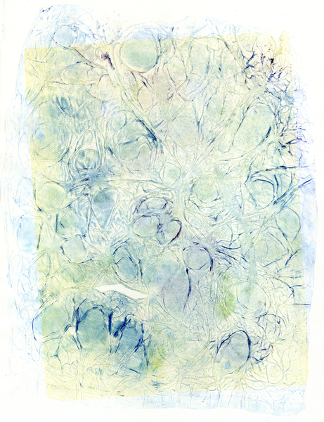 Moonbeam Foliose