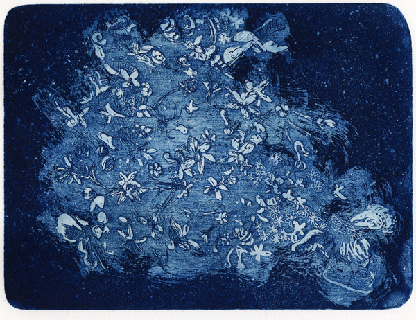 Symbiotica Hydraflower