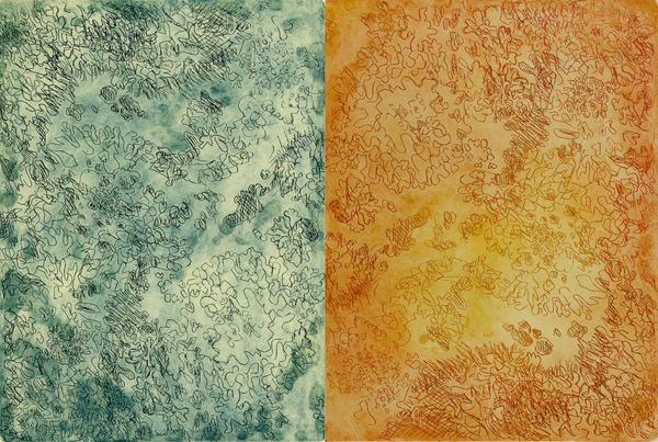 Symbiotica: Lichen Blue Orange