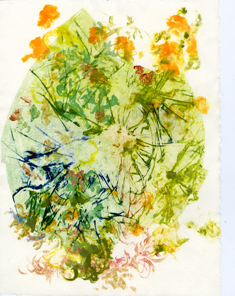 Symbiotica: Lichen Garden