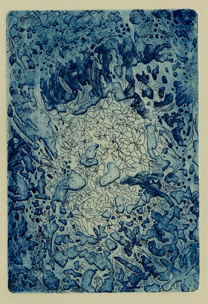 Symbiotica: Lichen Nest