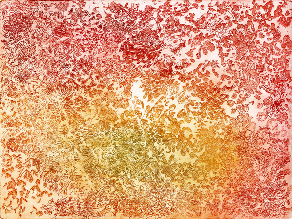 3/10 ve Symbiotica: Lichen Sunbusrt