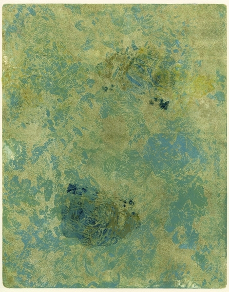 Symbiotica_Serenity 1/1