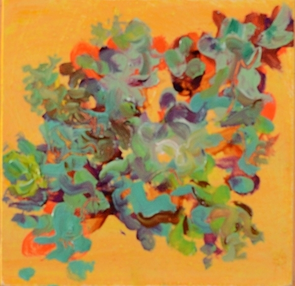 Tree Flute Lichen